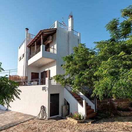 Apteramare Tradidtional House 'New Listing 2022' Khania Eksteriør bilde